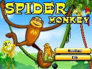 Spider monkey 4